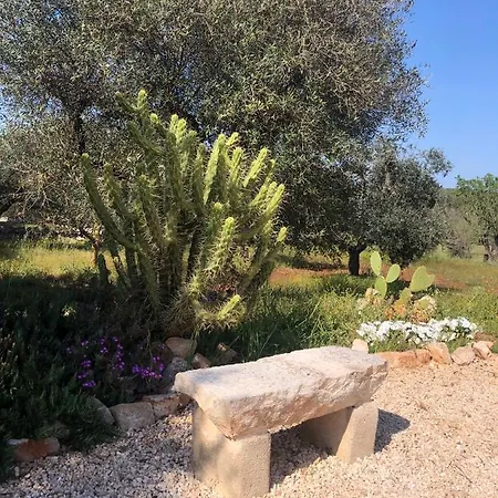 Casa Terra - Trullo Con Piscina Villa Ostuni