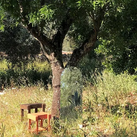 Villa Casa Terra - Trullo Con Piscina