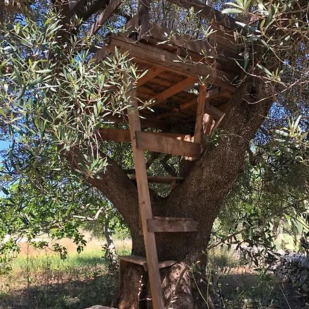 Casa Terra - Trullo Con Piscina Ostuni